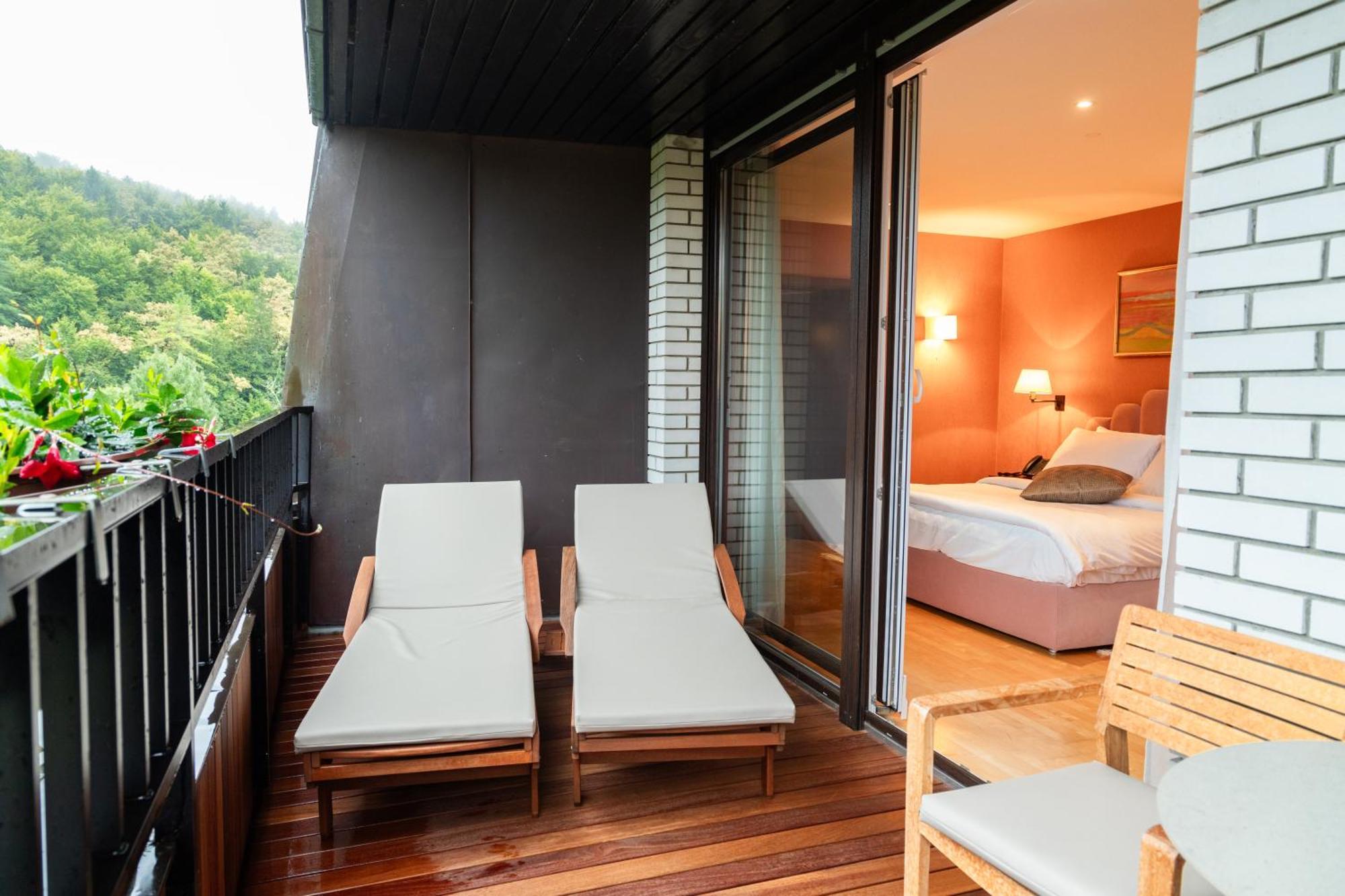 Hotel Vitarium Superior - Terme Krka 斯玛杰克托莱塞 客房 照片